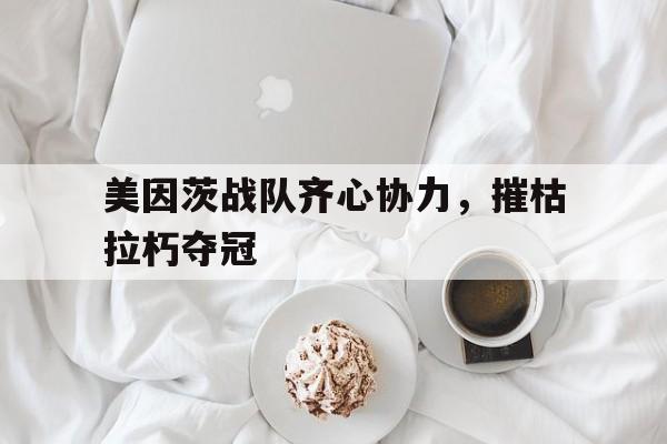 关于美因茨战队齐心协力，摧枯拉朽夺冠的信息